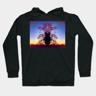 Queen Of The Tree Tiger Hoodie